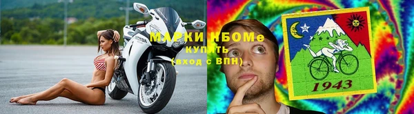 прущие грибы Елизово