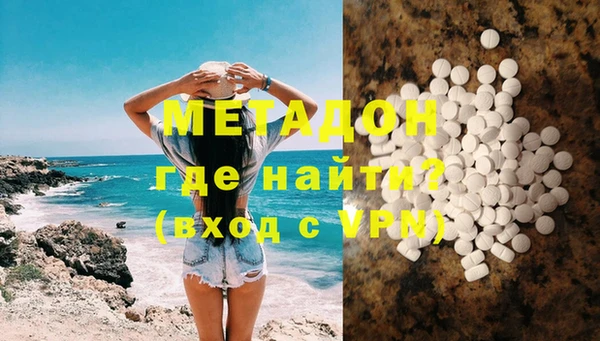 прущие грибы Елизово