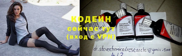 прущие грибы Елизово