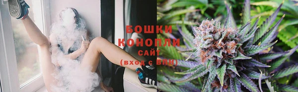 соль курить ск Ельня