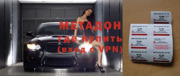 прущие грибы Елизово