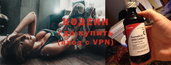прущие грибы Елизово