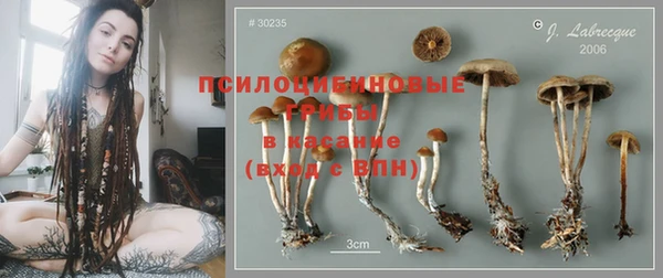соль курить ск Ельня