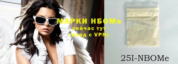 прущие грибы Елизово