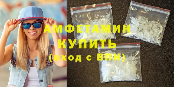 прущие грибы Елизово