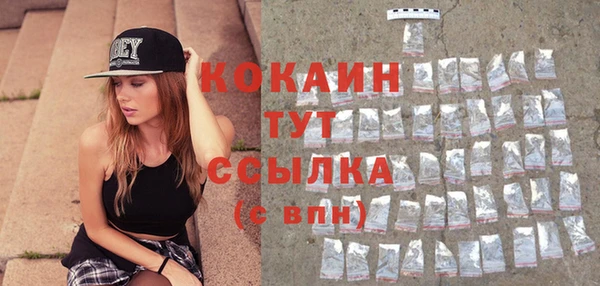 соль курить ск Ельня