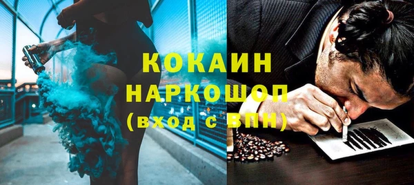 прущие грибы Елизово
