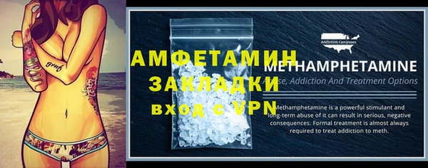 прущие грибы Елизово