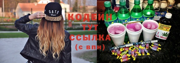 прущие грибы Елизово
