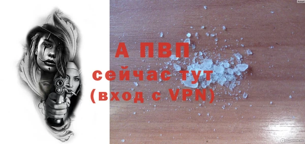 прущие грибы Елизово